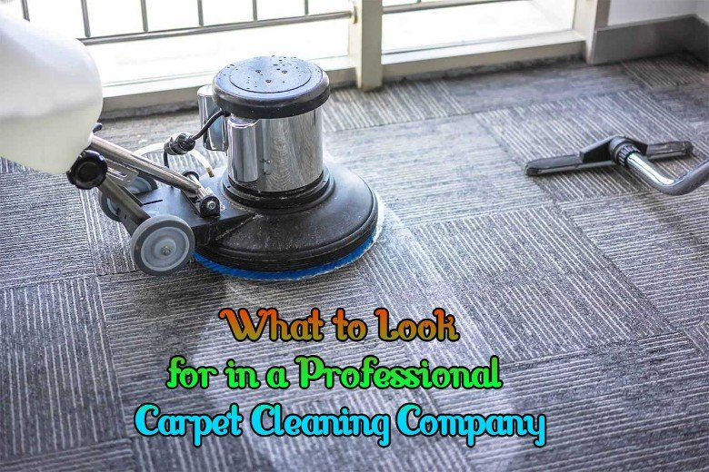 What to Look for in a Professional Carpet Cleaning Company