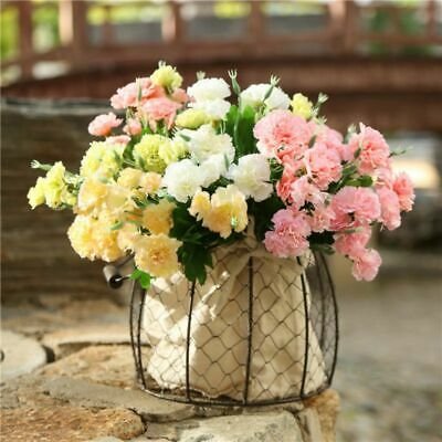 Express Your Meaningful Efforts Through Send Flowers Online