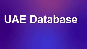 Top Database Providers in Dubai for Business and Consumer Market