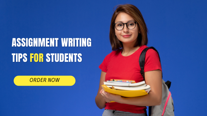 Xero Accounting Assignment Help