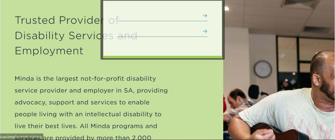 Disability Employment for Sustainable Futures