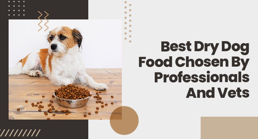 best dry food for dogs