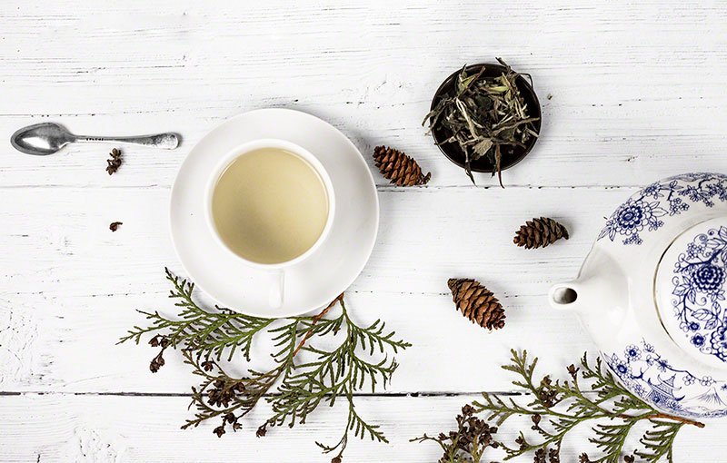 What is white tea? The Benefits of White Tea