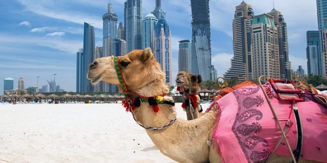 Dubai The Best Way for Tour From India