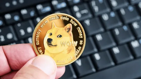 What Is Dogcoin? | Investing In Cryptocurrency