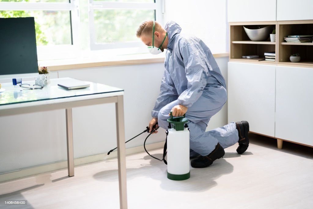 Pest Control Tips for You and Your Home