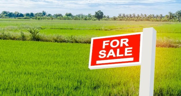 Land for Sale: What to Look For When Buying