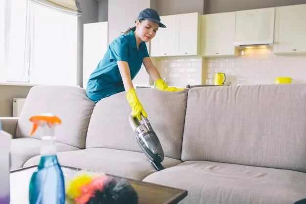 Get Rid Of Stubborn Stains With Upholstery Cleaning Services In Drummoyne?