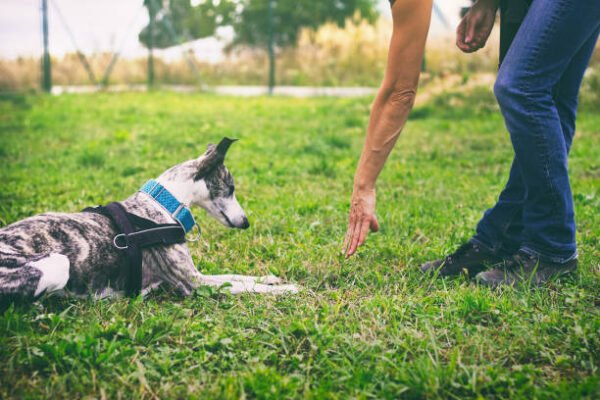 The importance of enrolling for personal protection training in Sacramento CA