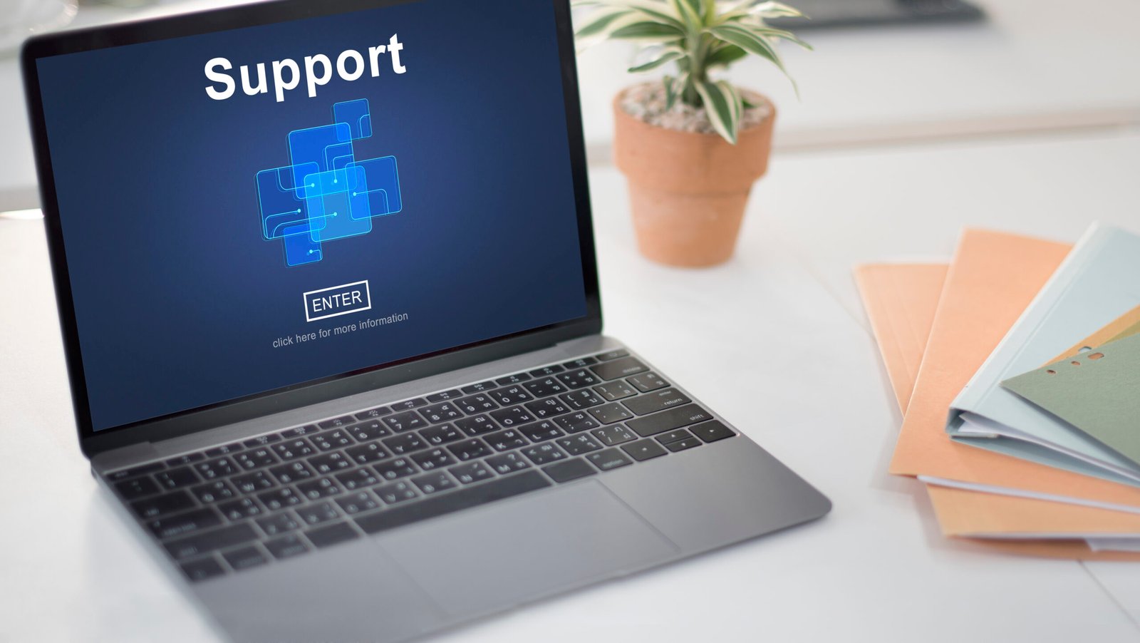 Why Businesses Need to Have NetSuite Support