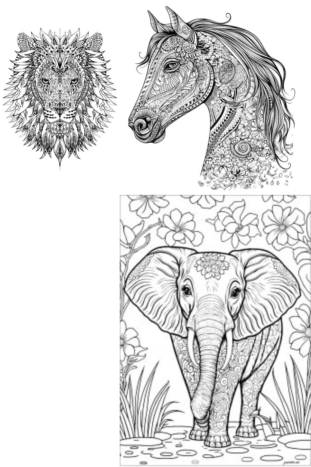 Adult Coloring Pages | Free Coloring Pages 