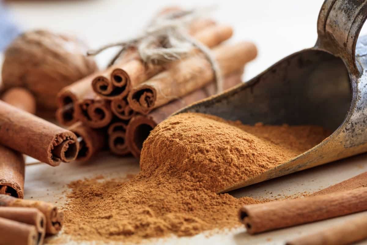 In What Ways Does Cinnamon Help Root Plants?
