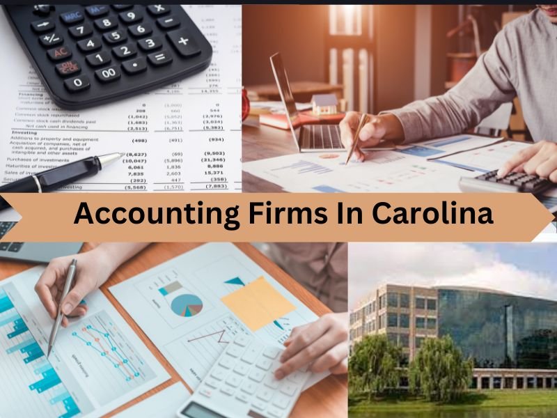 Accounting Firms In Carolina
