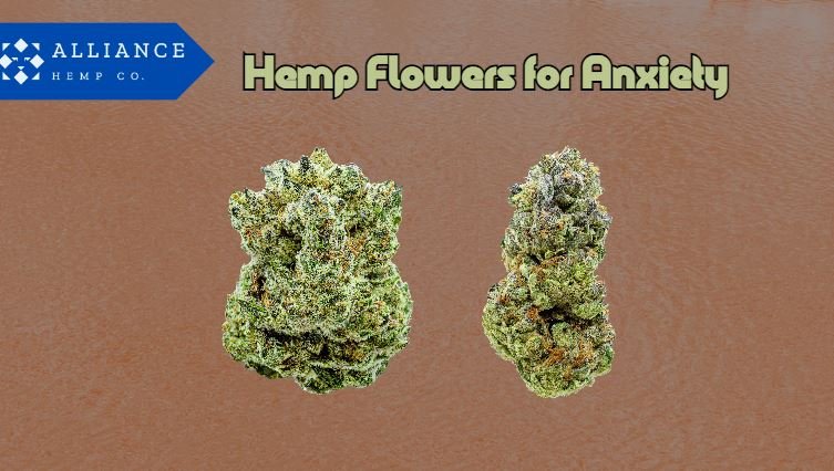 Exploring Hemp Flowers for Anxiety & Stress Relief