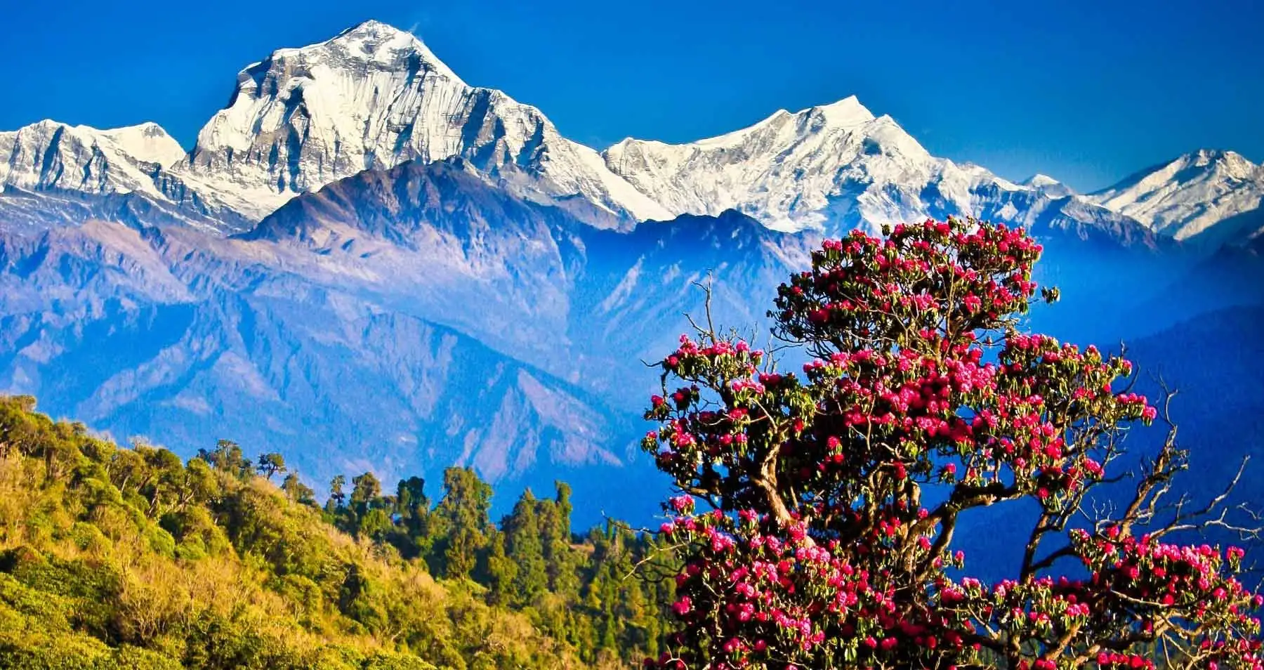 Who Can Benefit from a Nepal Holiday Package?