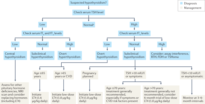 T3, T4, TSH Testing: Key Insights for Diagnosing Thyroid Conditions