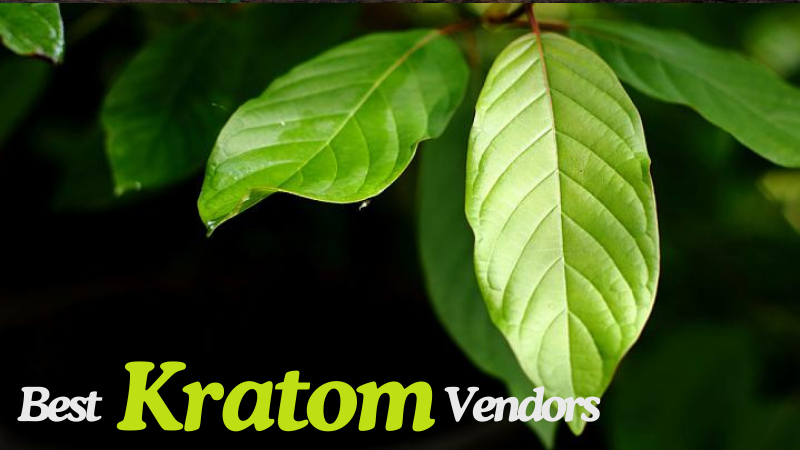 Best Kratom Vendors of 2024: Where To Buy High Grade Kratom Online