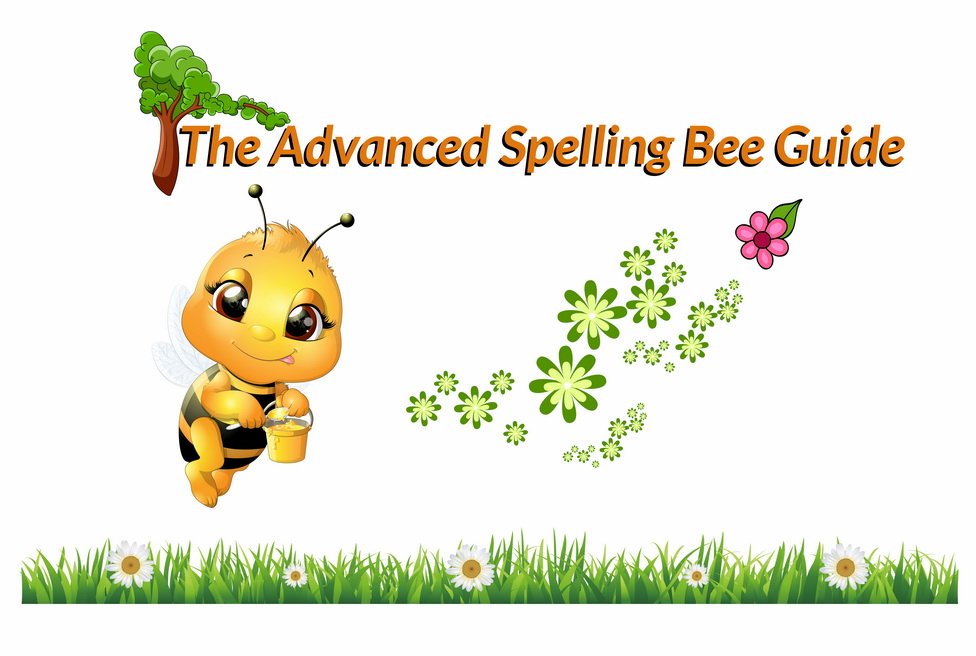 Mastering Spelling Bee Words for Adults