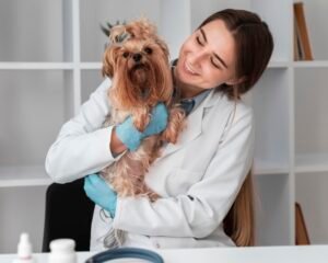 Pet Care